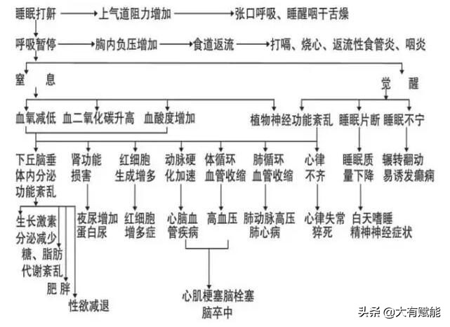 睡眠呼吸暂停监测全过程视频,深度解析呼吸暂停
