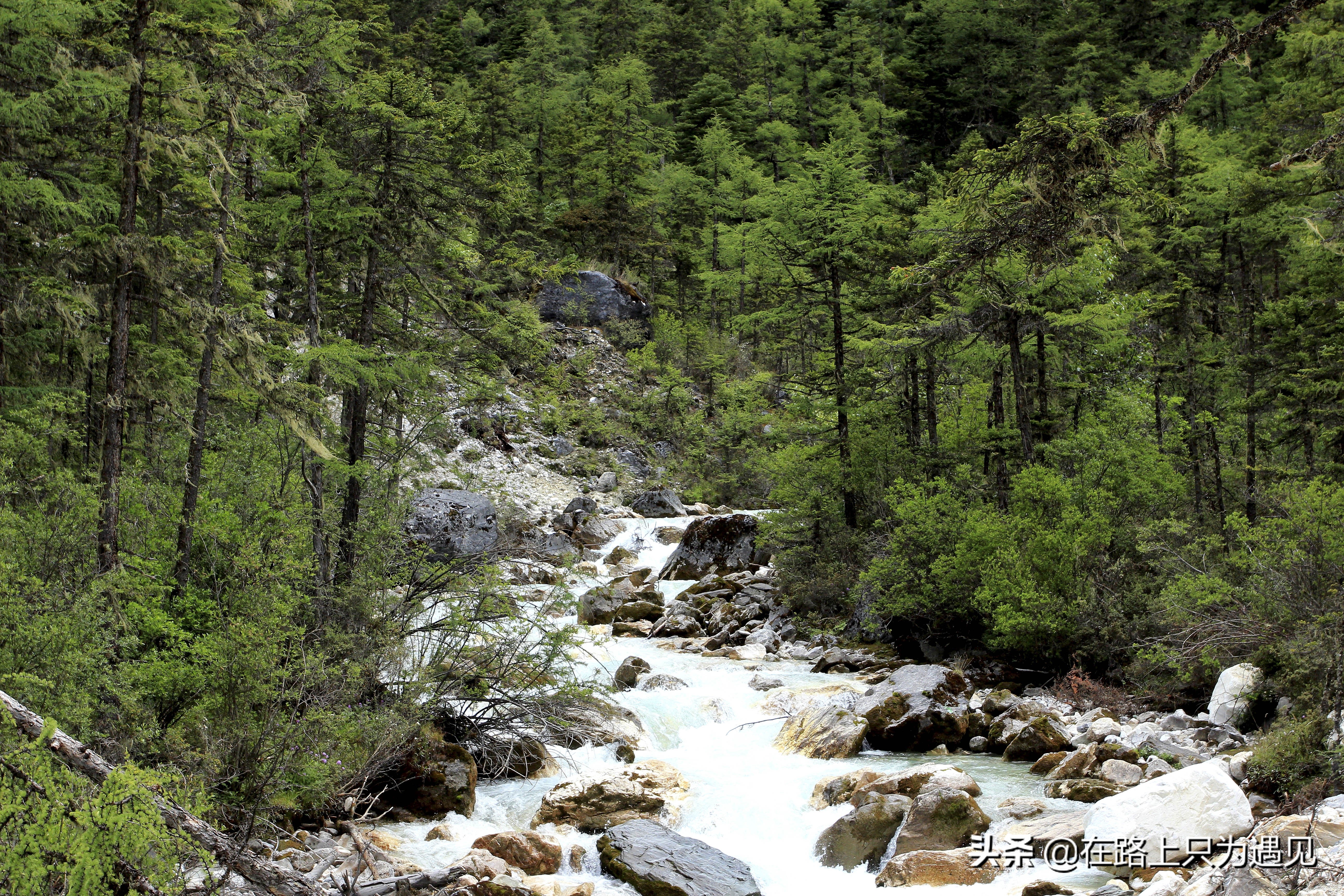 从你的全世界路过稻城亚丁主人公,从你的全世界路过稻城亚丁片段