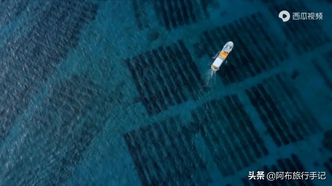 豆瓣9.1分看哭百万人,豆瓣评分9.0却很少有人看懂