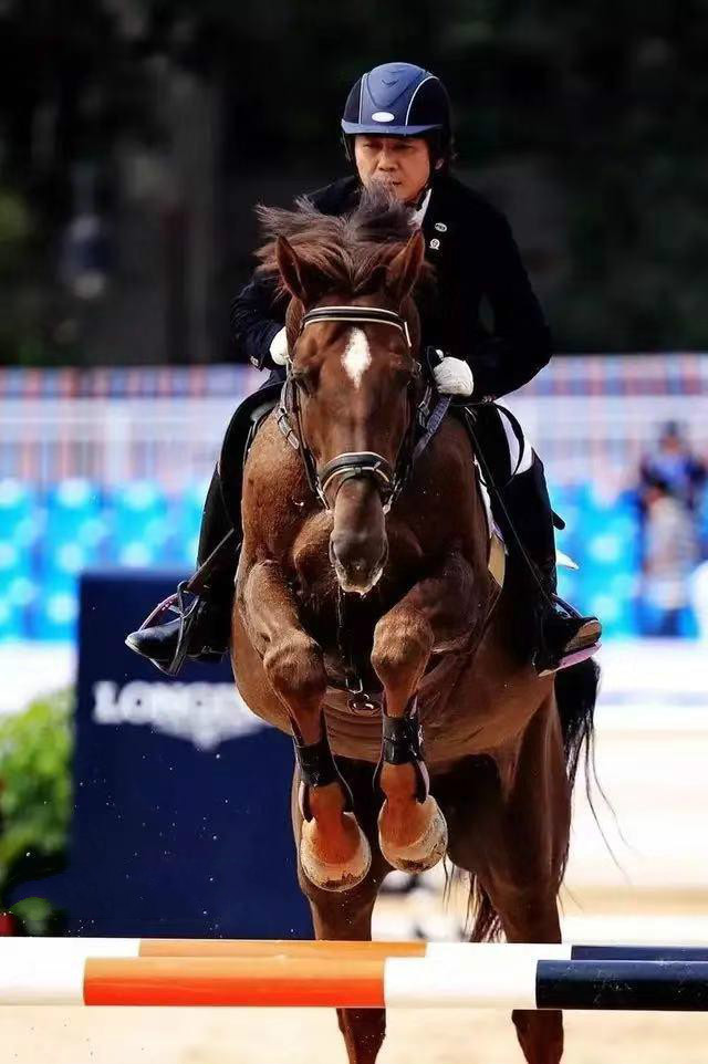 栾树咏梅恋爱史,咏梅栾树白头到老