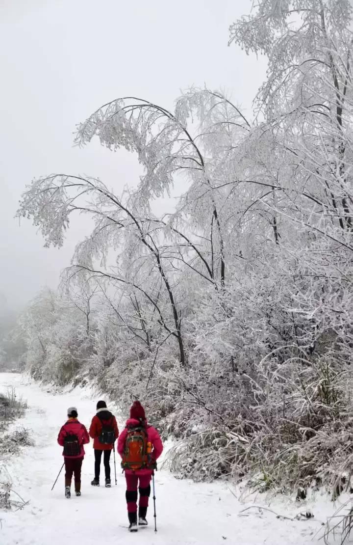 贵阳云雾山云海,贵阳云雾山雾凇旅游攻略