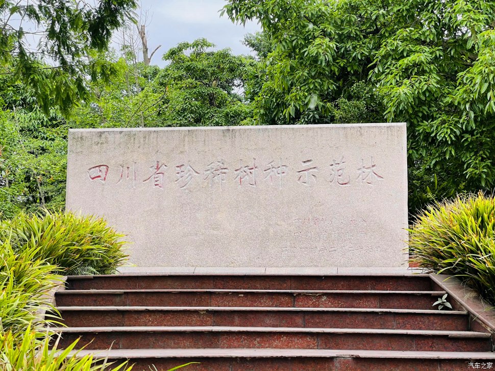 成都人会玩的景点,成都凤凰山公园可以爬山吗