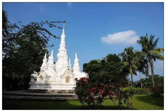 一起来讲傣语视频,一起来谈谈闽南文化