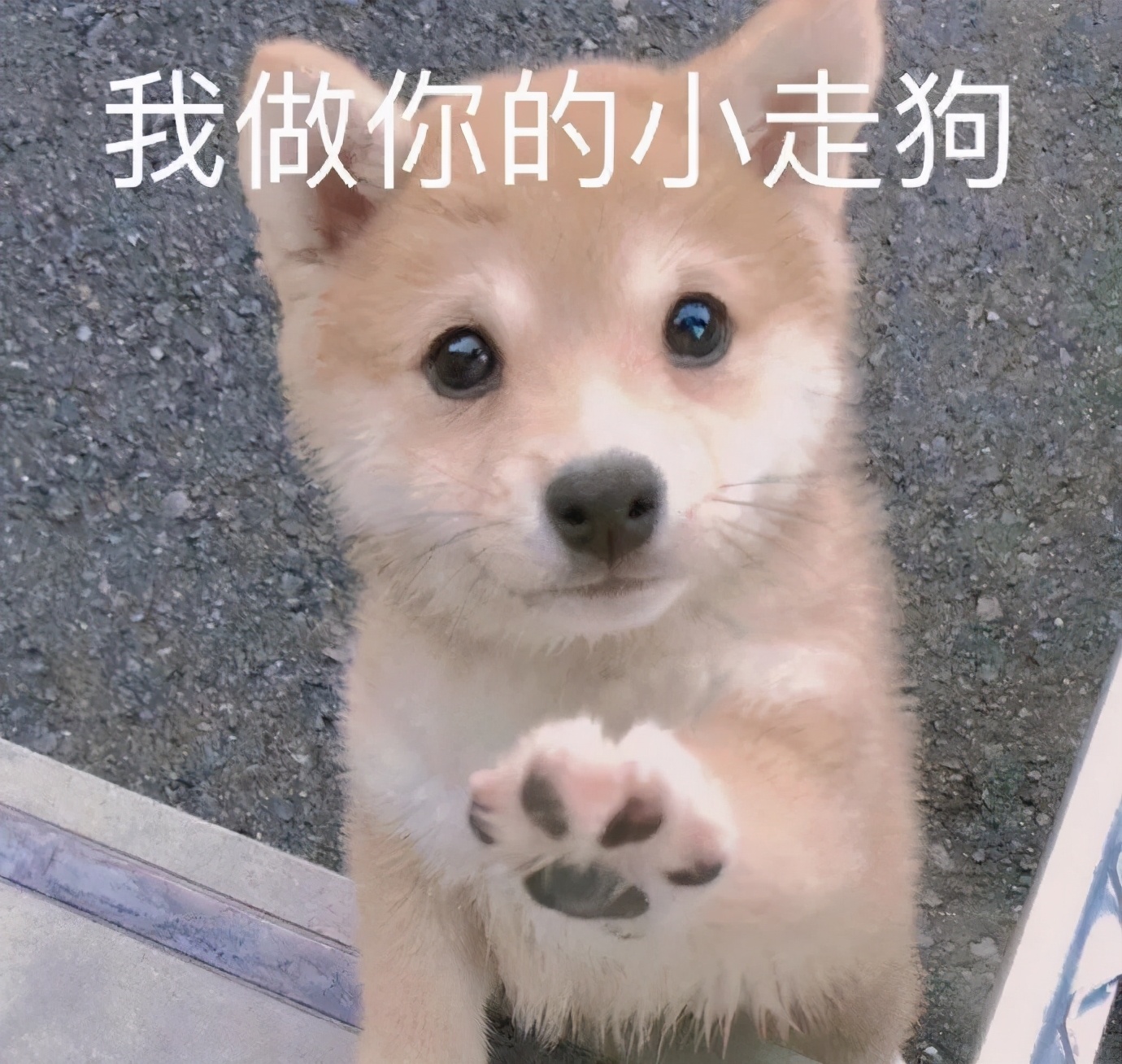 好看的叫女神，年轻的叫小姐姐，像你这种又年轻又好看就叫女朋友