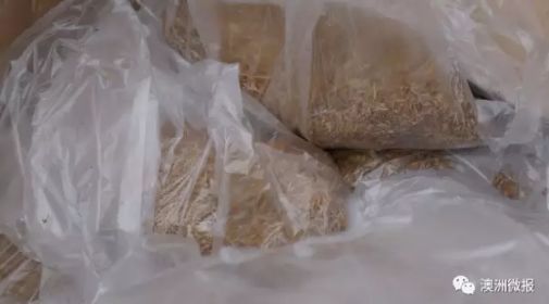 中国旅客被关小黑屋,6名中国人在澳洲被抓