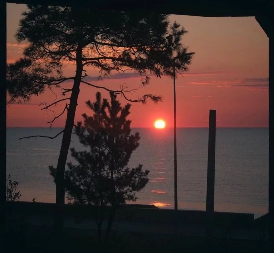 关于宣传奶茶发朋友圈文案,朋友送自己奶茶发朋友圈文案