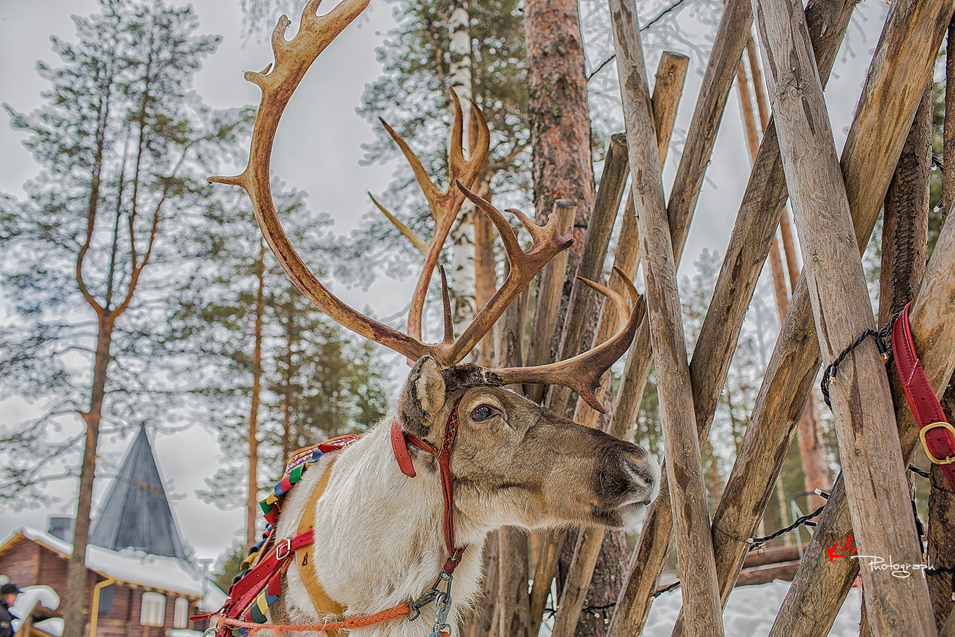 果小姐的慢生活之冰雪奇缘