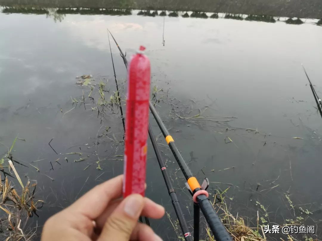 为什么火腿肠钓鱼好,火腿肠真的可以钓鱼吗