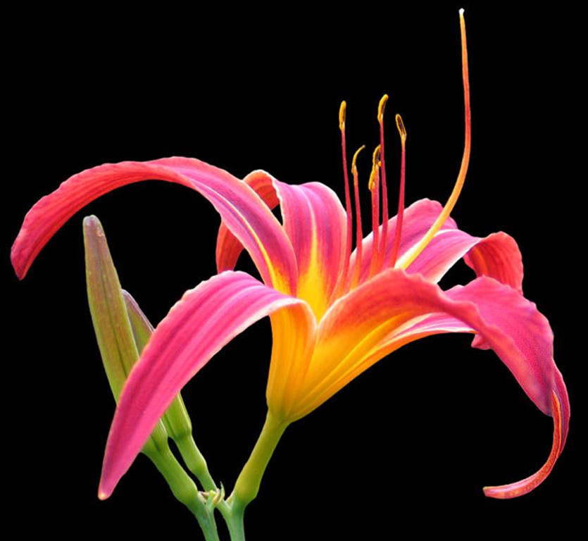 威廉·布莱克：一沙一世界，一花一天堂