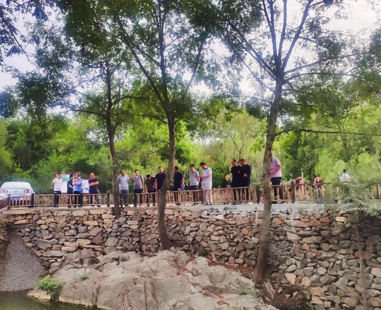 济南申请加入“大乱斗”！@理塘丁真，你的珍珠……泉在这里！