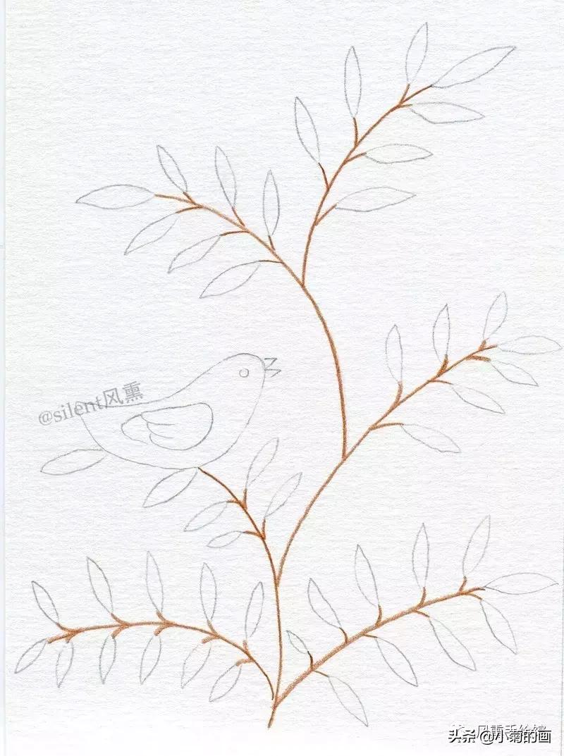 简单的彩铅小插画,彩铅森系小清新插画初学者