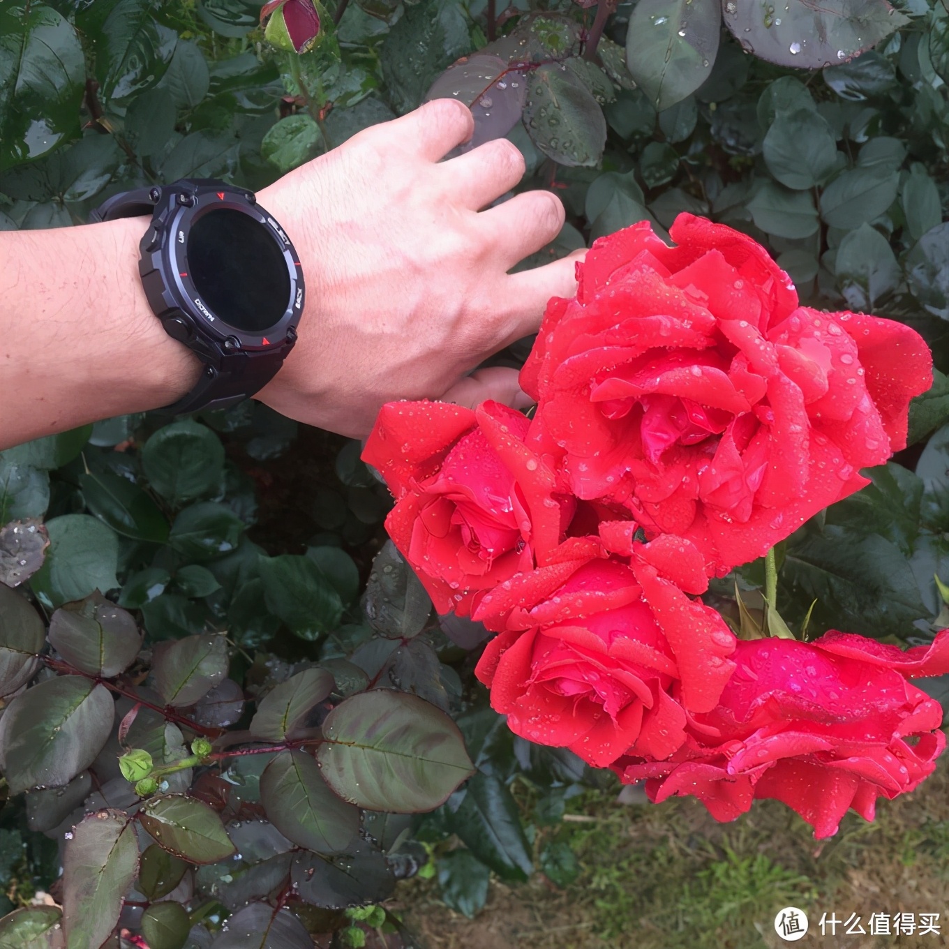 华米手表amazfitt-rex如何听音乐,华米AmazfitT-RexPro手表