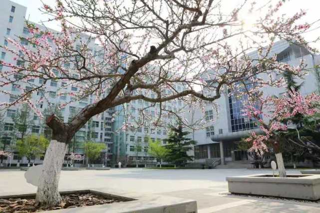 北京联合大学计算机专业就业情况,北京联合大学计算机信息安全专业