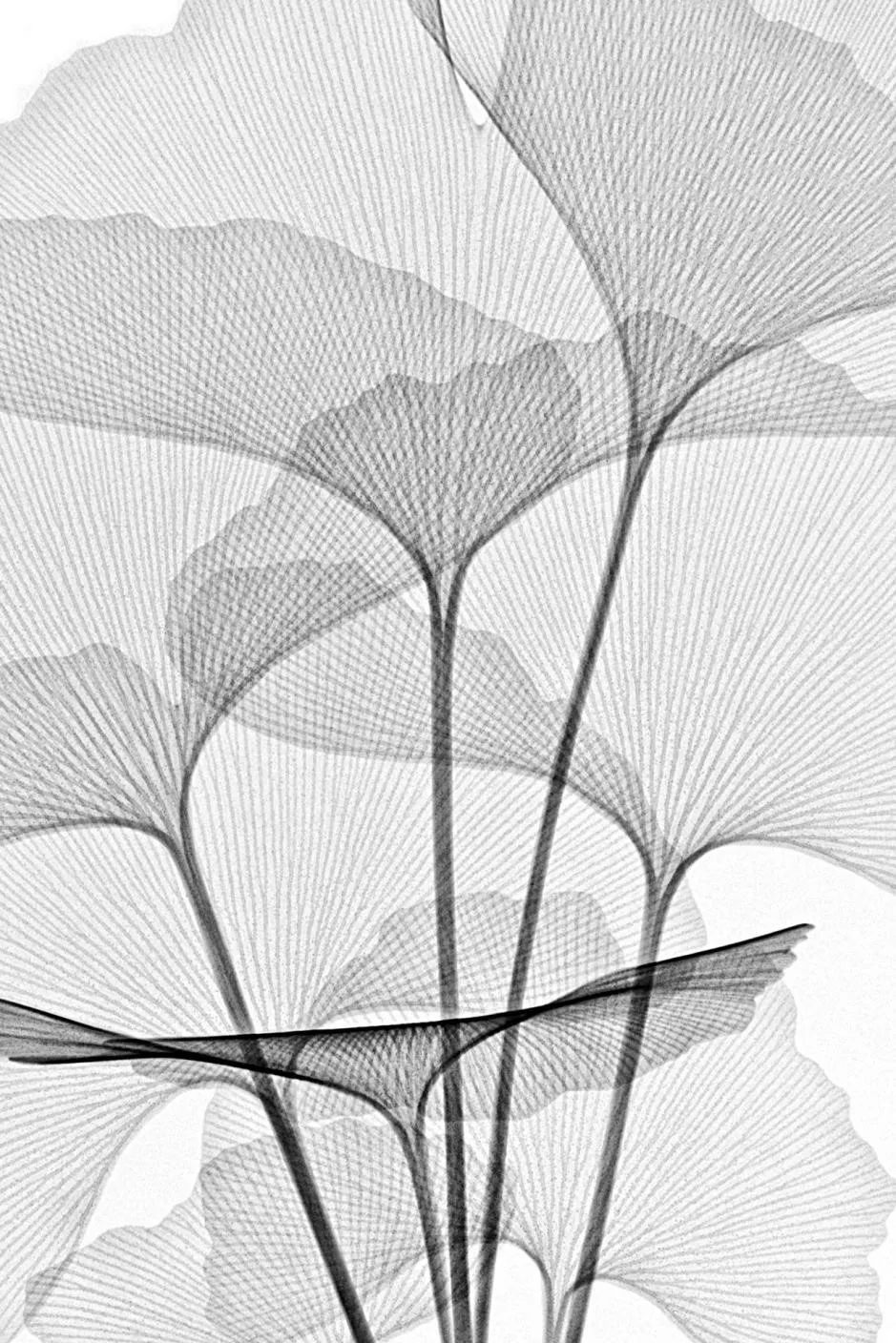 绉戠爺澹佺焊,绉戠爺浜虹殑鏂板勾澹佺焊