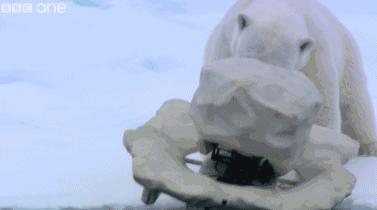 这6部电影足以秒杀大部分电影,十部必看旅行纪录片人文纪录片