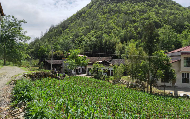 飞地荆竹园：美好生活“起飞”