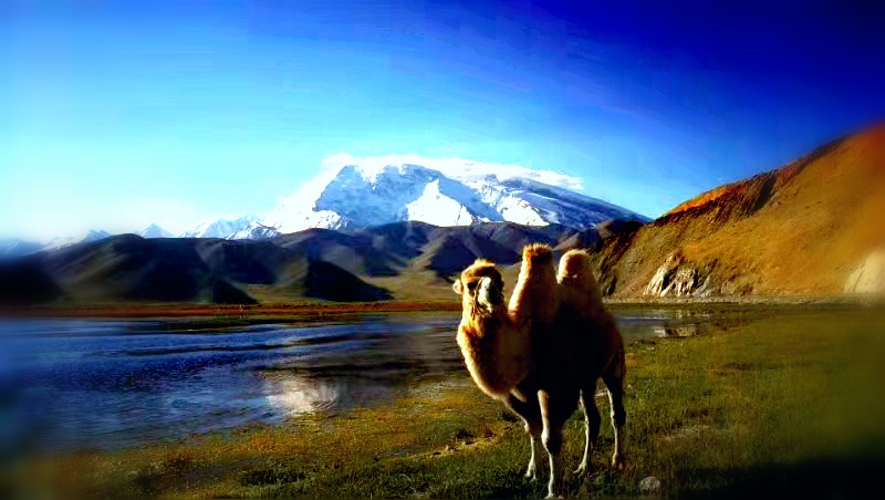 疆内旅游推荐,疆外旅游注意事项