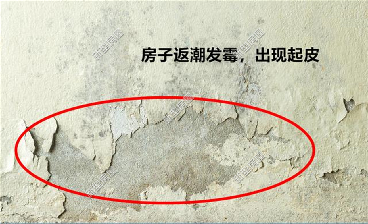 农村房屋地下室不做防水会怎样,农村建房地下室外墙防水