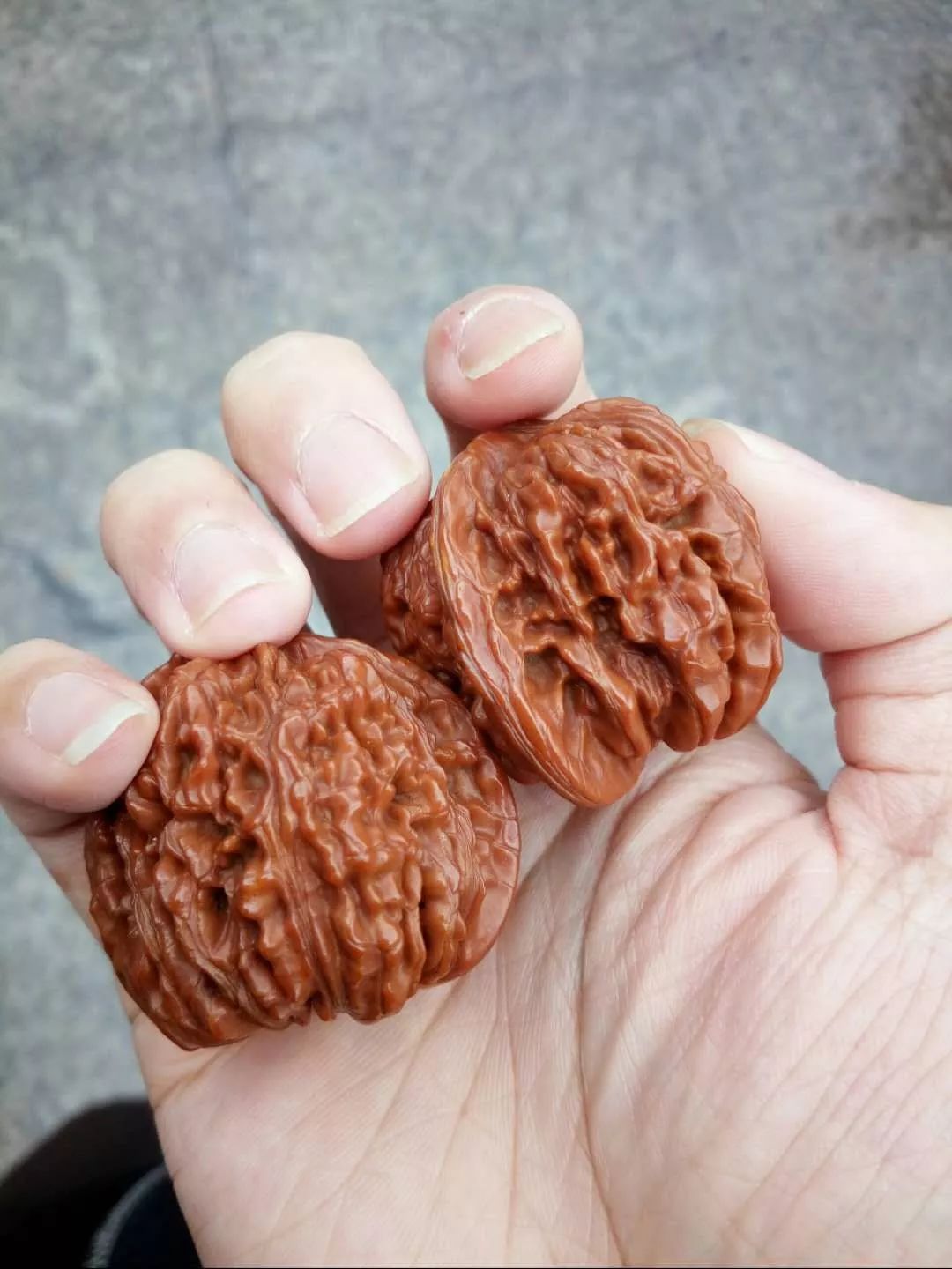 什么品种的核桃玉化包浆更快,文玩核桃盘多久才会玉化