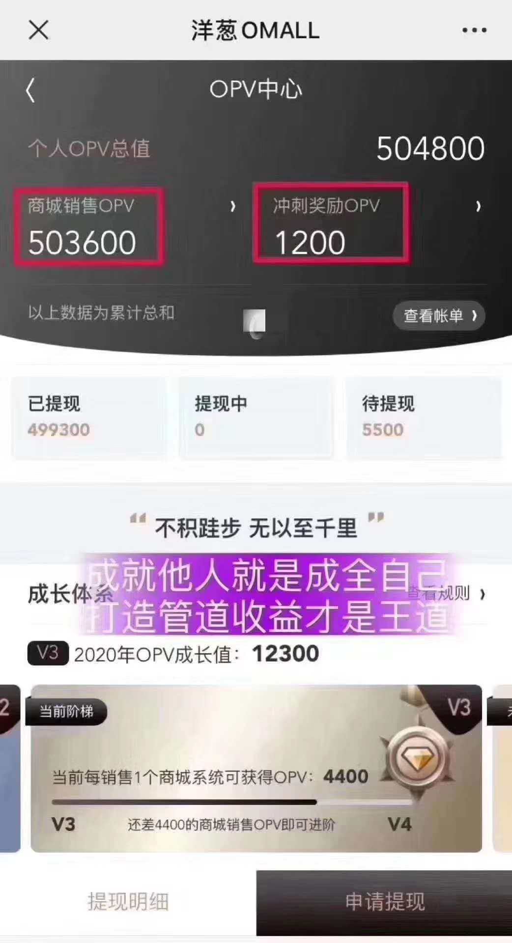 洋葱加盟怎么赚钱,洋葱加盟平台