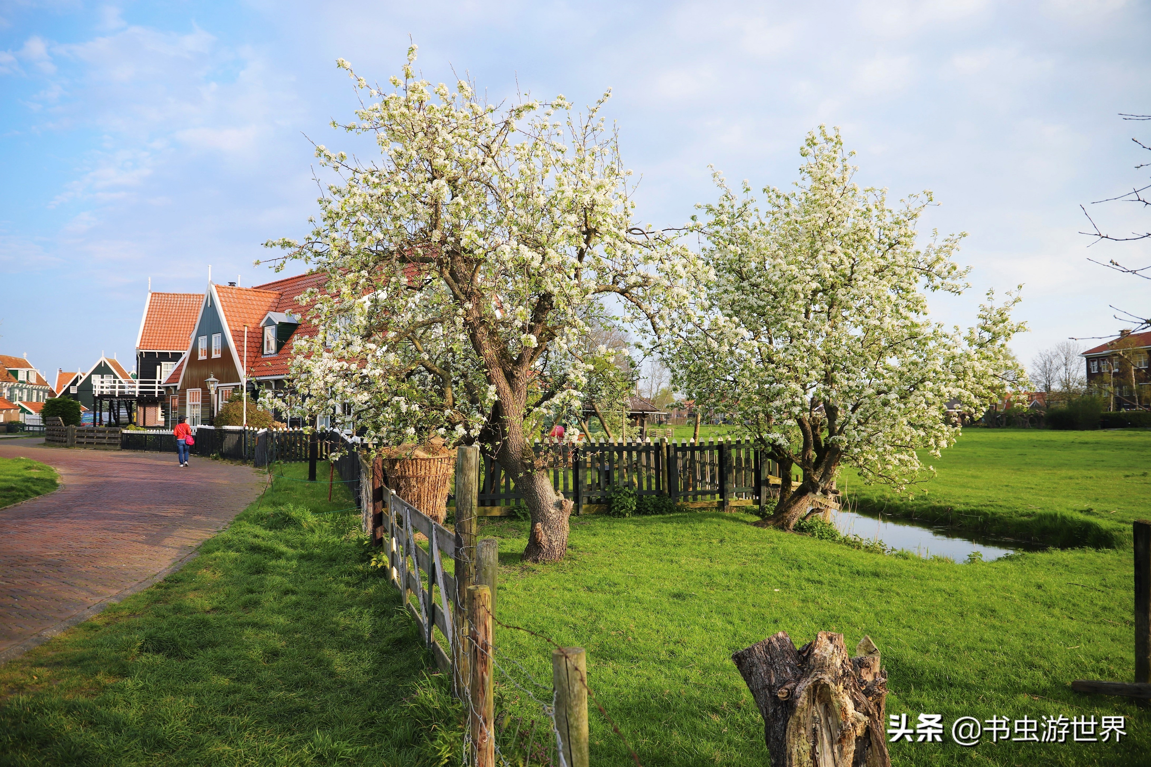 红顶小木屋,红顶绿墙小木屋