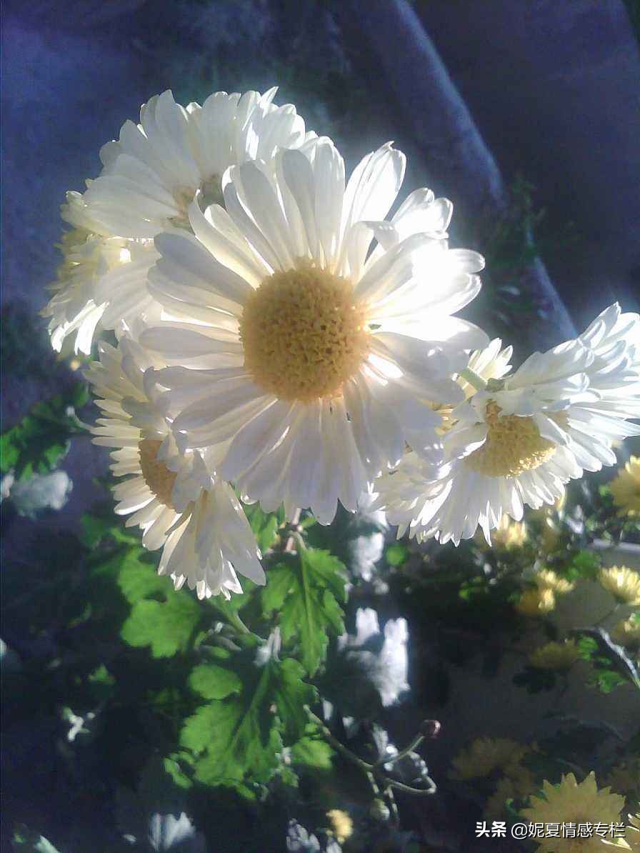 一封丈夫出轨的信,一封关于出轨的信