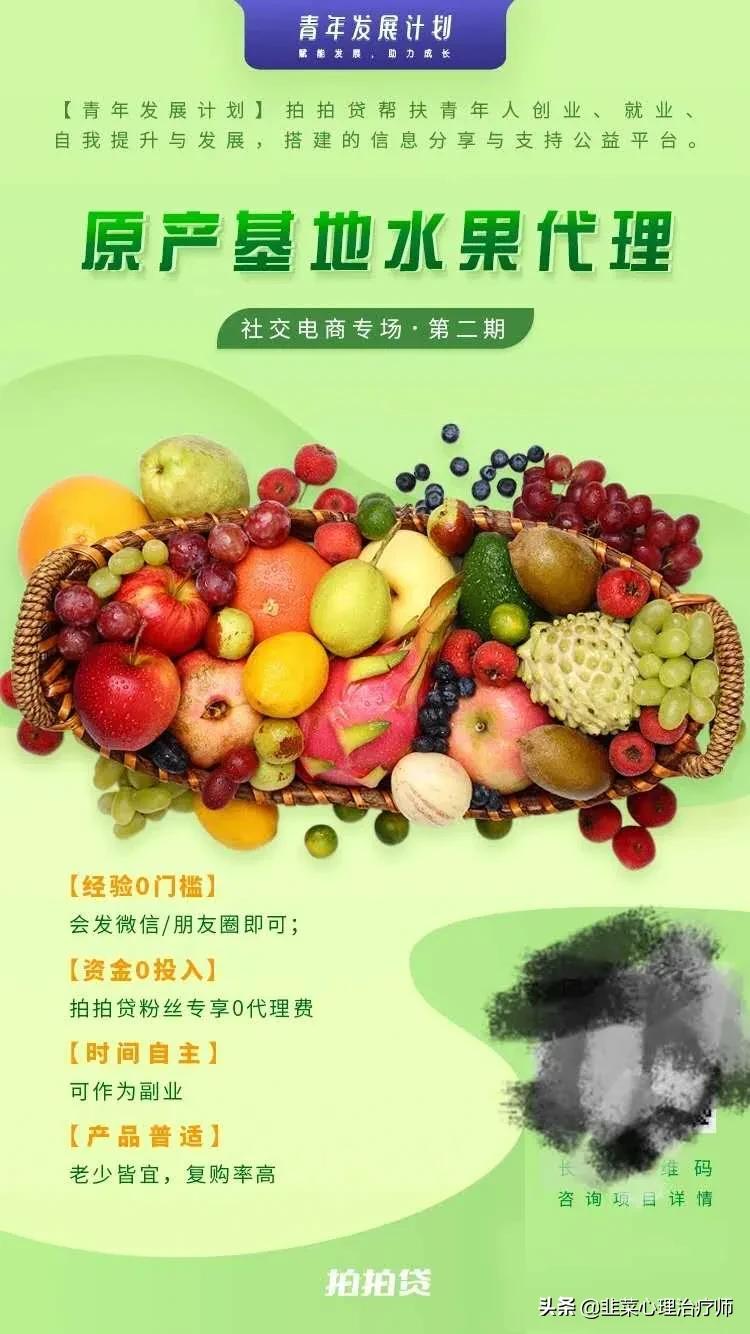 拍拍贷打拼青年能申请成功吗,拍拍贷创业项目