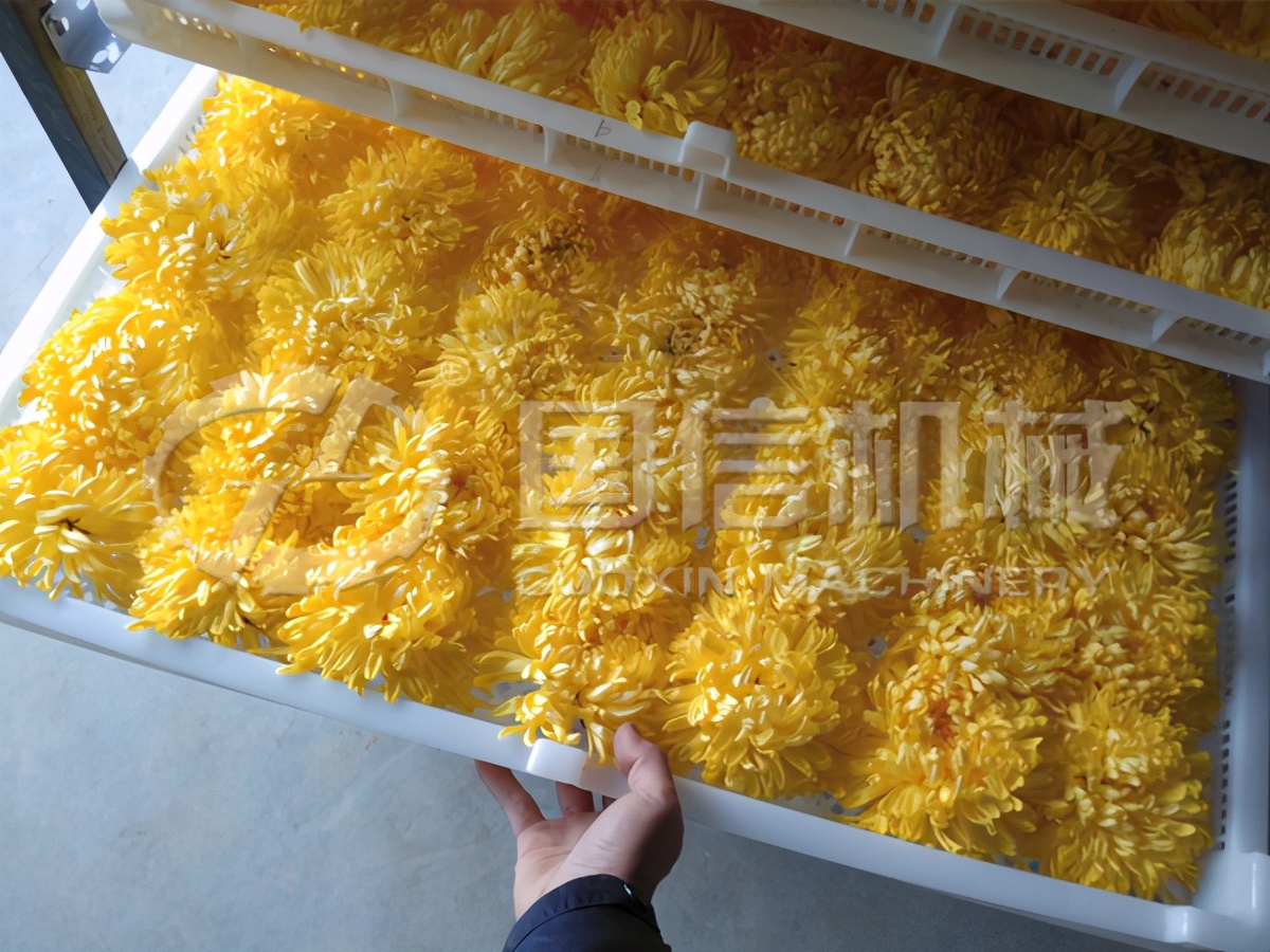 菊花自动烘干设备价格,菊花微波杀青烘干设备制作