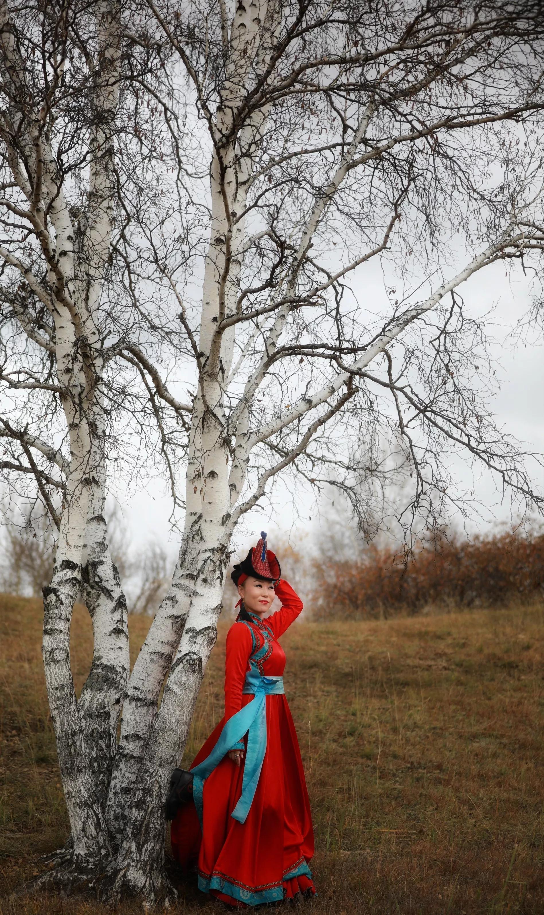 坝上秋色草原,坝上草原游记作文