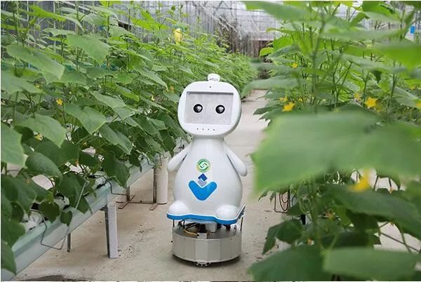 中联重科挖掘机崛起,中国农机公司中联重科