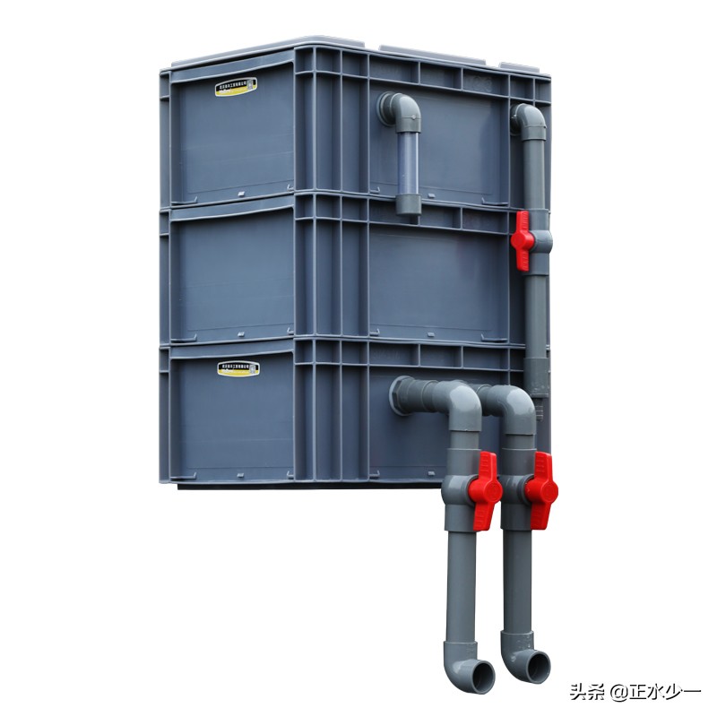 金鱼怎么养用超小鱼缸,养金鱼不要乱折腾