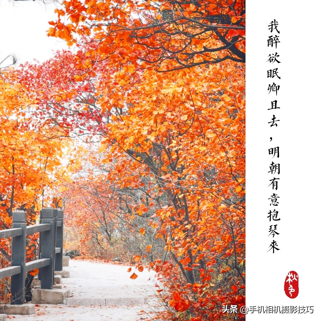 给照片加上水印用什么软件,怎么给照片加水印手机版