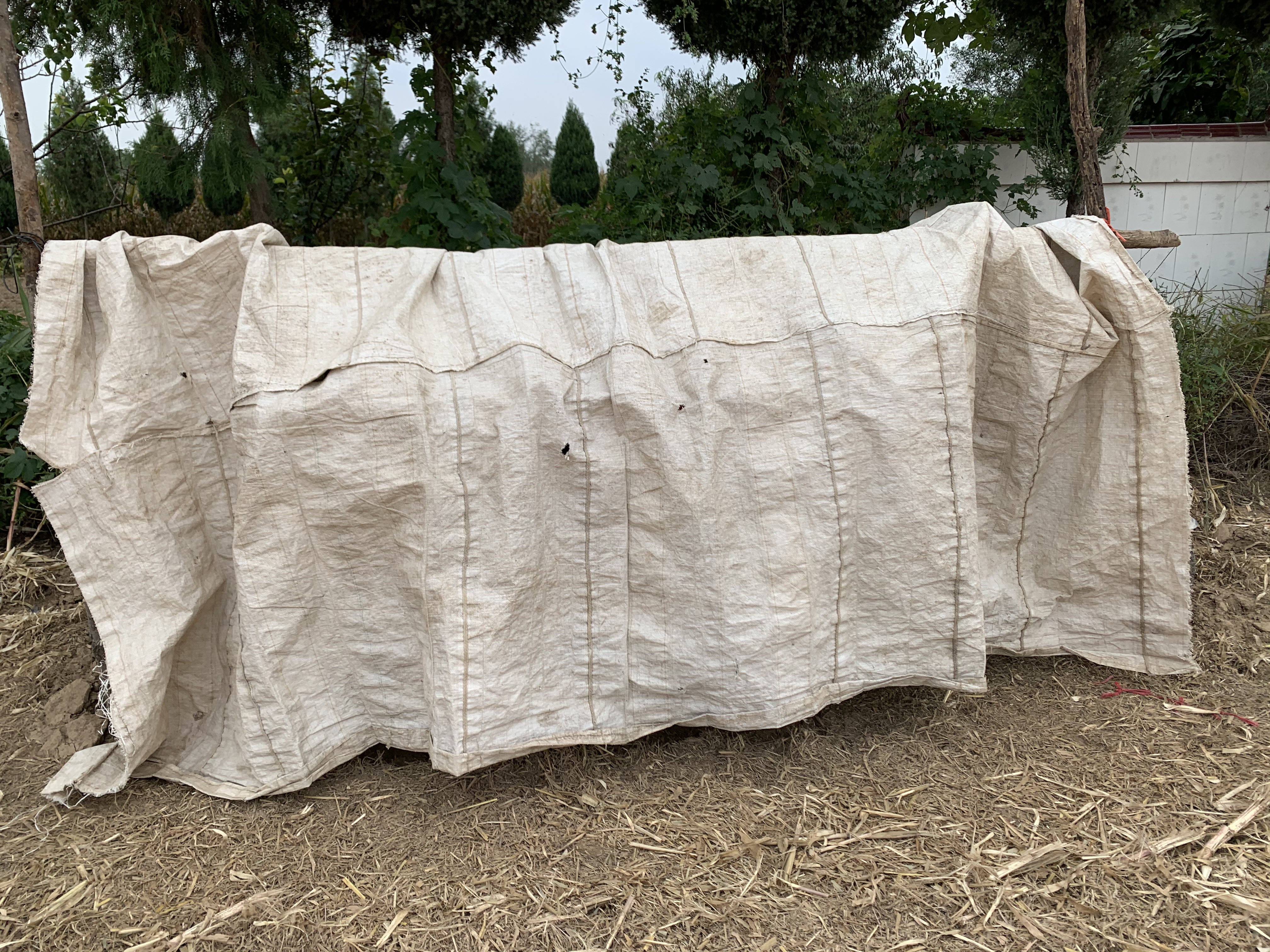 农村晾粮食棚,农村晒谷场能搭建棚子吗