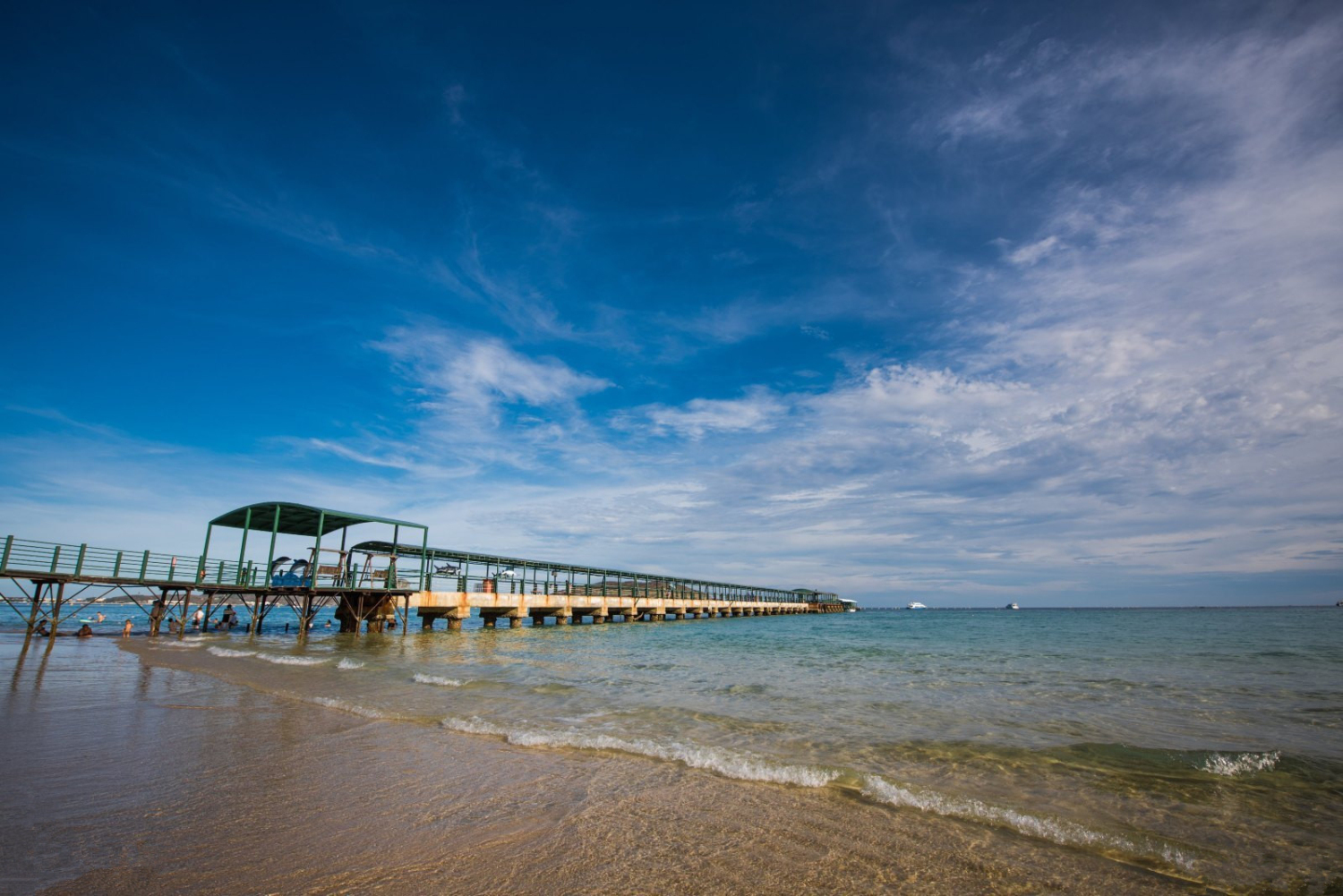 东北人为什么爱去三亚,美国友人说,他们那边也这样