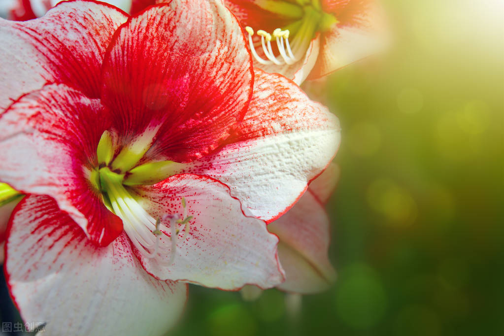 同样只活在自己的世界里,熊磊、丁红、素老三,人生如此不同