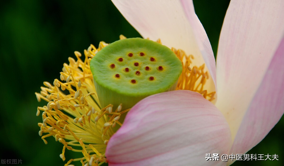 有前列腺炎影响生男孩吗,得了前列腺炎会影响生育么