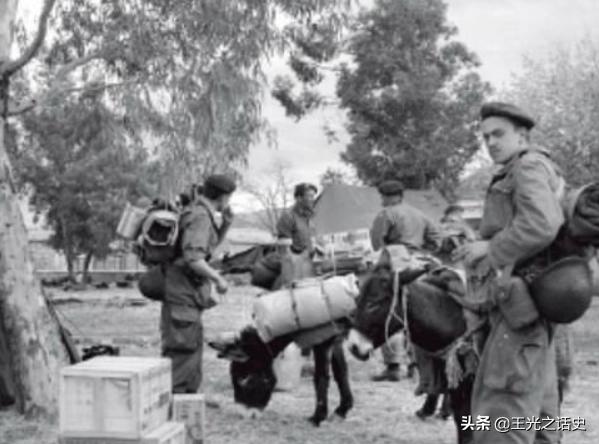 阿曼战乱,中东阿曼为什么没有战争