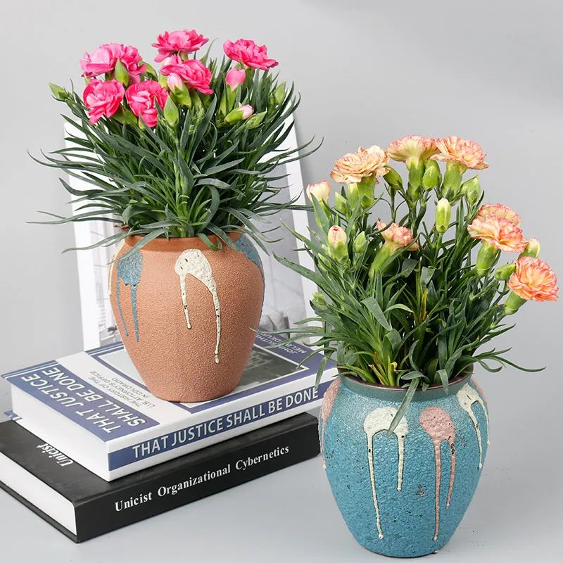 母亲节送什么花给妈妈最适合图片,母亲节做一朵手工花送给妈妈