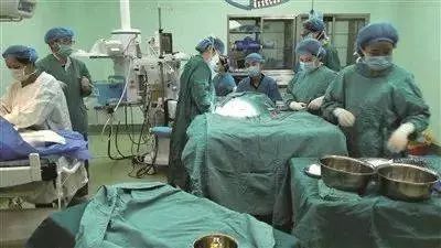 缝合手术7小时,手术缝合3d