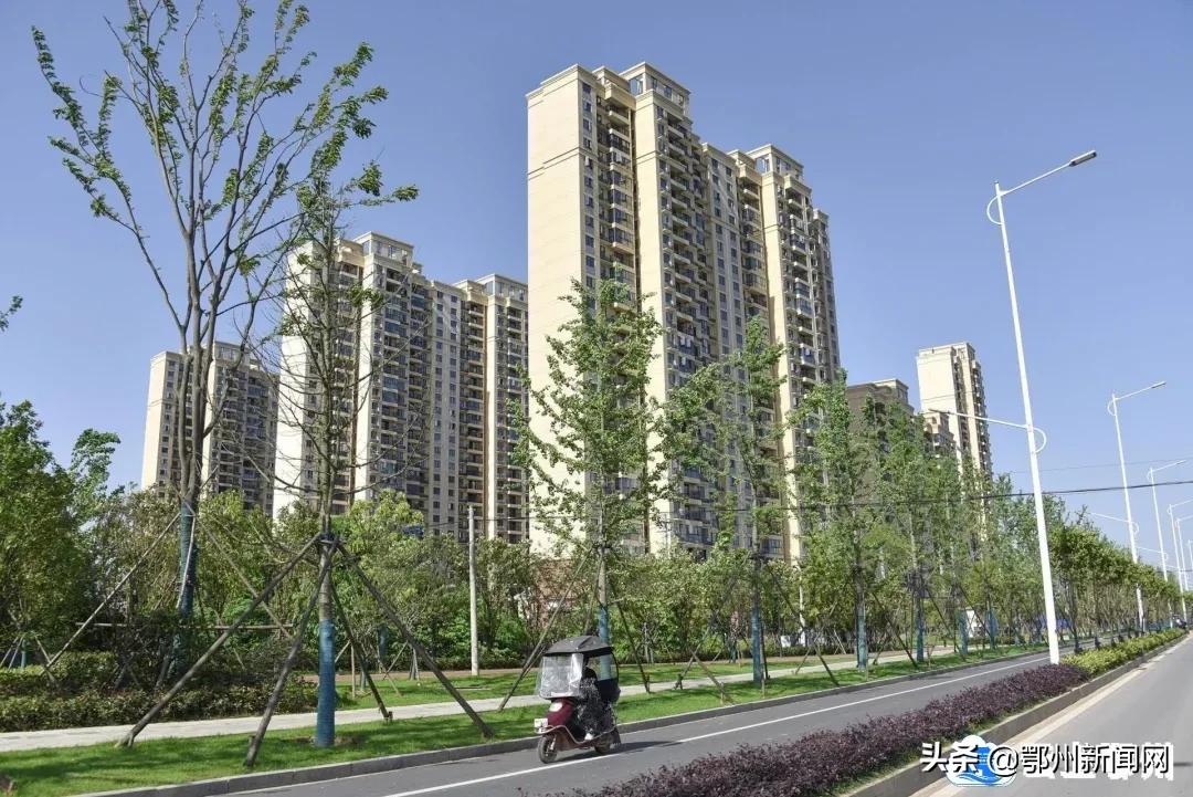 鄂州市乡村振兴拉练新闻视频,鄂州市项目拉练