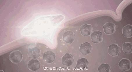 长痘不要惊慌教你自救小妙招,长痘怎么正确处理