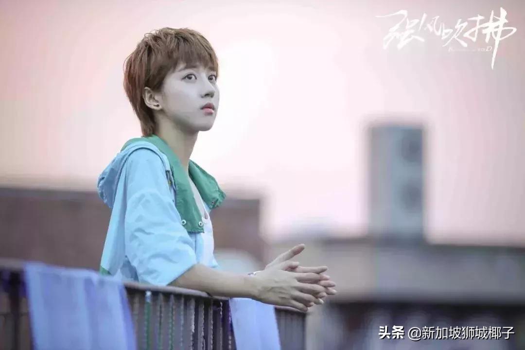 新加坡星二代被微博网友骂哭了...