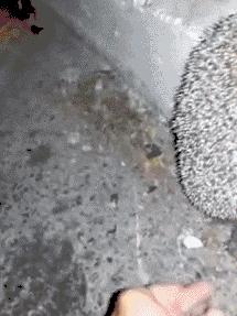 搞笑gif吓死我了,搞笑gif图等着我来救你