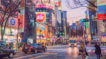 旅游景点的介绍怎么写,旅游景点介绍视频