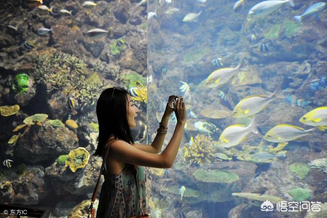 跟团游自由行哪个适合你,不喜欢跟团旅行自由行