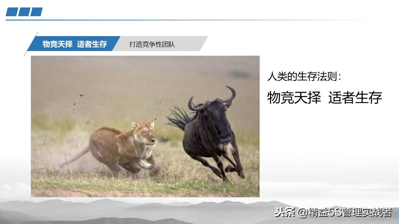 团队凝聚力建设课件,提升团队凝聚力ppt课件免费