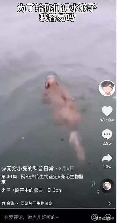 水猴子警告,小亮日常科普水猴子