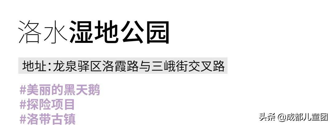 无滤镜公园随拍,无需加滤镜的公园