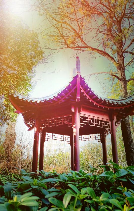 合肥学校里的网红,合肥最牛的初中学校