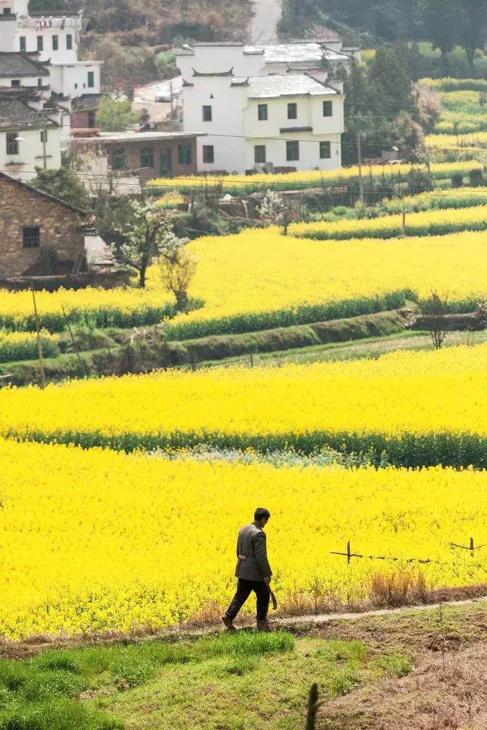 五一这样拼假可连休9天,快来看五一放假四天最全拼假攻略